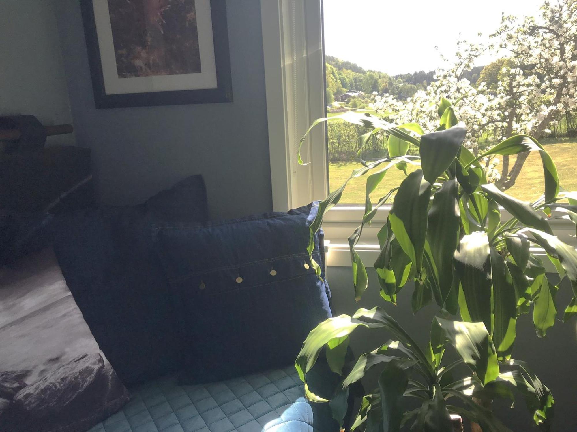 Haere Mai B&B Orust Henån Εξωτερικό φωτογραφία
